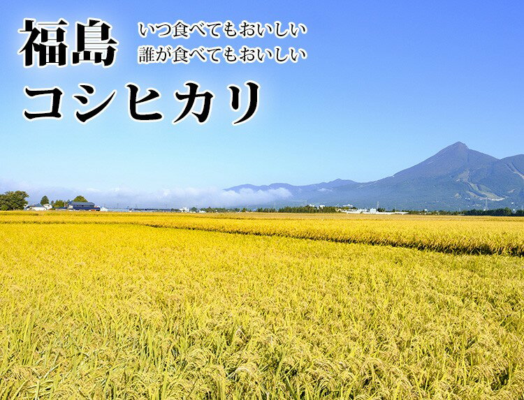 新米 米 白米 10kg 送料無料 コシヒカリ 5kg×2袋 福島県産 令和2年産 コシヒカリ お米 10キロ 安い あす楽 沖縄 配送不可