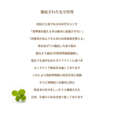 米 白米 10kg 送料無料 コシヒカリ 5kg×2袋 福島県産 令和元年産 コシヒカリ お米 特A 10キロ 安い あす楽 北海道・沖縄は追加送料