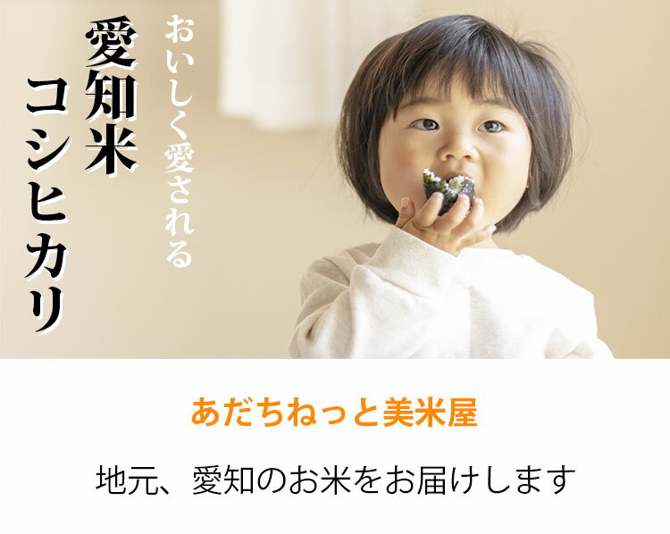 【ポイント5倍】新米 米 白米 10kg 送料無料 コシヒカリ 5kg×2袋 愛知県産 令和2年産 コシヒカリ お米 10キロ 安い あす楽 送料無料【沖縄、配送不可】