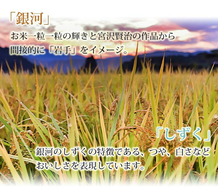 米 白米 10kg 特A 送料無料 銀河のしずく 5kg×2袋 岩手県産 令和2年産 1等米 銀河のしずく お米 10キロ 安い あす楽 送料無料 沖縄配送不可