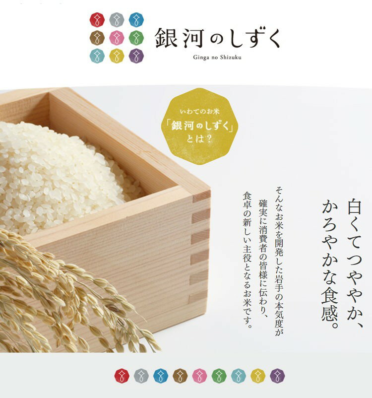米 無洗米 10kg 特A 送料無料 銀河のしずく 5kg×2袋 岩手県産 令和2年産 1等米 銀河のしずく お米 10キロ 安い あす楽 送料無料 沖縄配送不可