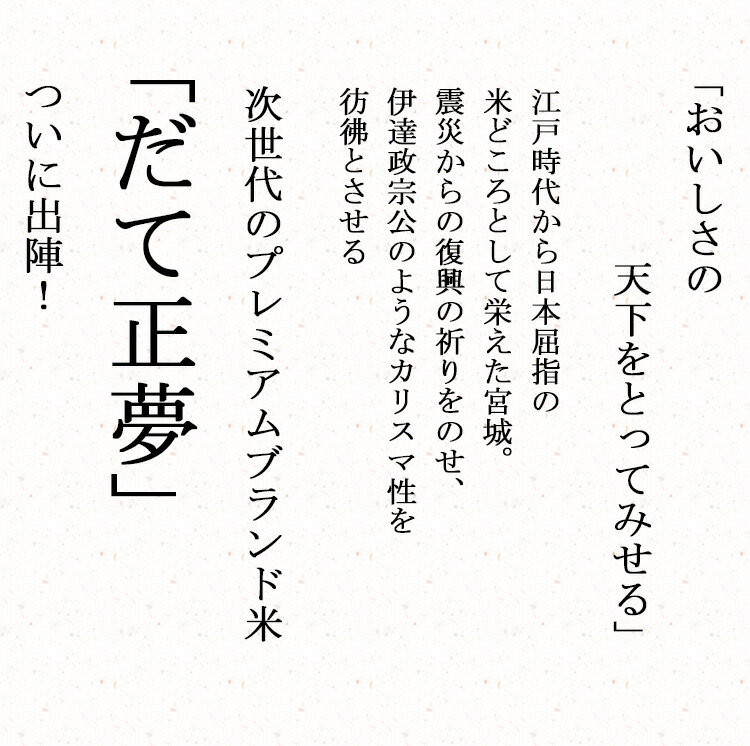 米 白米 10kg 送料無料 だて正夢 5kg×2袋 宮城県産 令和3年産 1等米 だて正夢 お米 10キロ 安い あす楽 送料無料 沖縄配送不可