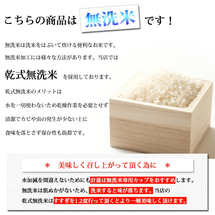 無洗米 20kg 送料無料 コシヒカリ 5kg×4袋 新潟県産 令和3年産 コシヒカリ お米 20キロ 安い 送料無料 沖縄配送不可