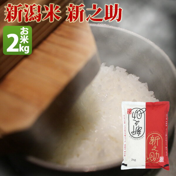 米 白米 2kg 新之助 しんのすけ 新潟県産 令和元年産 1等米 新之助 しんのす...