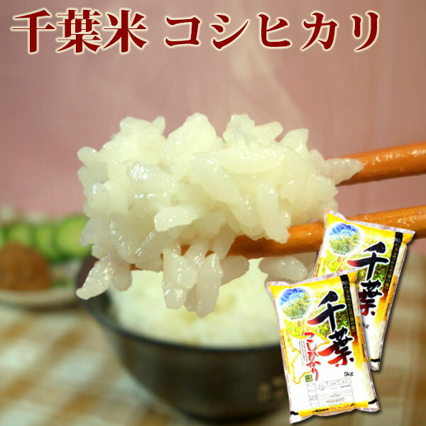 米 白米 10kg 送料無料 コシヒカリ 5kg×2袋 千葉県産 令和元年産 コシヒ...