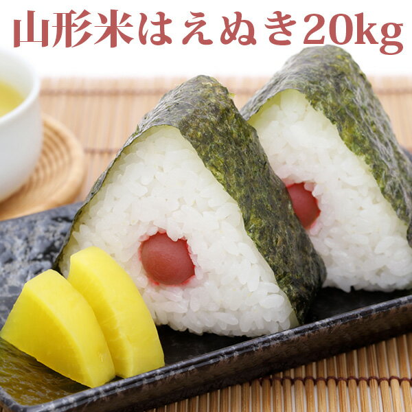 新米 米 白米 20kg 送料無料 はえぬき 5kg×4袋 山形県産 令和元年産 1...