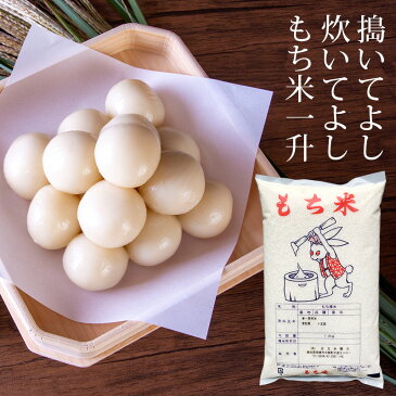 もち米 愛知県 十五夜もち 1.4kg 1升 令和2年産
