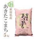 無洗米 5kg あきたこまち 秋田県産 令和2年産 1等米 あきたこまち お米 5キロ 安い あす楽 送料無料【沖縄、配送不可】