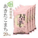 無洗米 20kg 送料無料 あきたこまち 5kg×4袋 秋田県産 令和2年産 1等米 あきたこまち お米 20キロ 安い 送料無料 沖縄配送不可