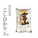 米 白米 5kg コシヒカリ 富山県産 令和2年産 1等米 コシヒカリ お米 5キロ 安い あす楽 送料無料【沖縄、配送不可】