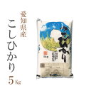 新米 米 白米 5kg コシヒカリ 愛知県産 令和2年産 コシヒカリ お米 5キロ 安い あす楽 送料無料【沖縄、配送不可】