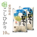 米 無洗米 10kg 送料無料 コシヒカリ 5kg×2袋 愛知県産 令和2年産 コシヒカリ お米 10キロ 安い あす楽 送料無料【沖縄、配送不可】