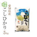 新米 無洗米 5kg コシヒカリ 愛知県産 令和2年産 コシヒカリ お米 5キロ 安い あす楽 送料無料【沖縄、配送不可】