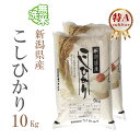 新米 無洗米 10kg 送料無料 コシヒカリ 5kg×2袋 新潟県産 令和2年産 コシヒカリ お米 10キロ 安い あす楽 送料無料 沖縄配送不可