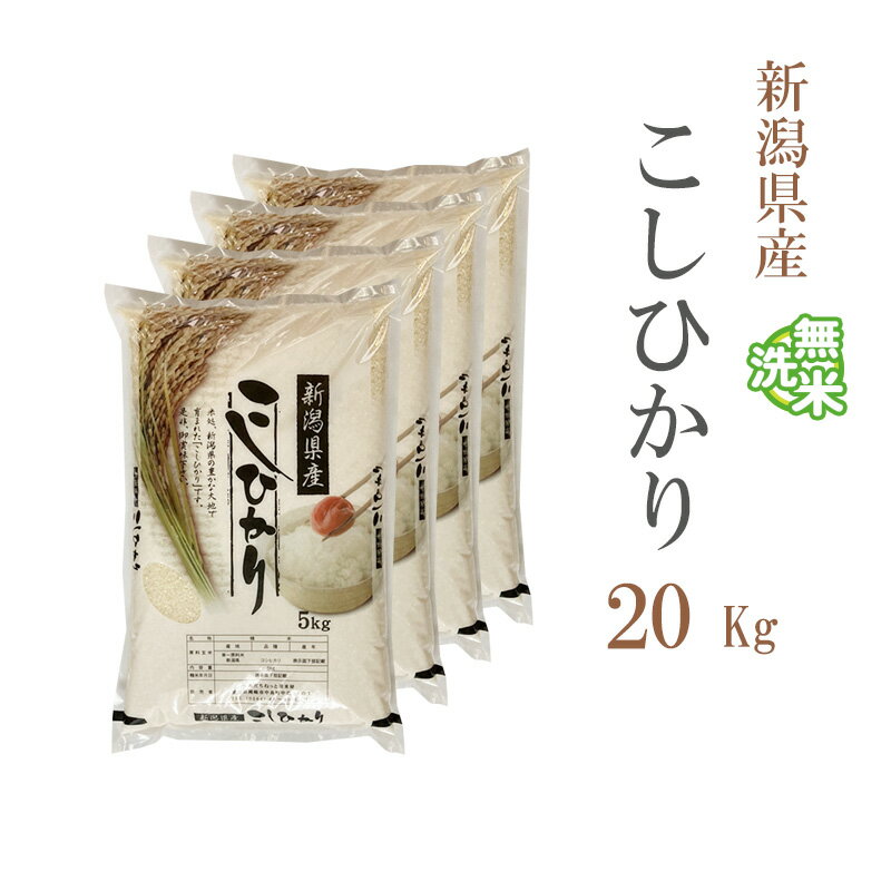 無洗米 20kg 送料無料 コシヒカリ 5kg×4袋 新潟県産 令和3年産 コシヒカリ お米 20キロ 安い 送料無料 沖縄配送不可