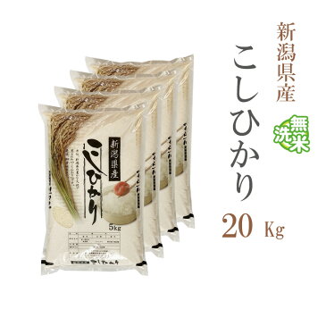 無洗米 20kg 送料無料 コシヒカリ 5kg×4袋 新潟県産 令和3年産 コシヒカリ お米 20キロ 安い 送料無料 沖縄配送不可