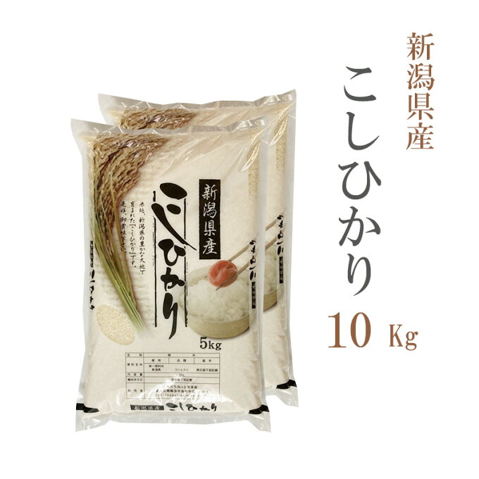 米 白米 10kg 送料無料 コシヒカリ 5kg×2袋 新潟県産 令和4年産 コシヒ...