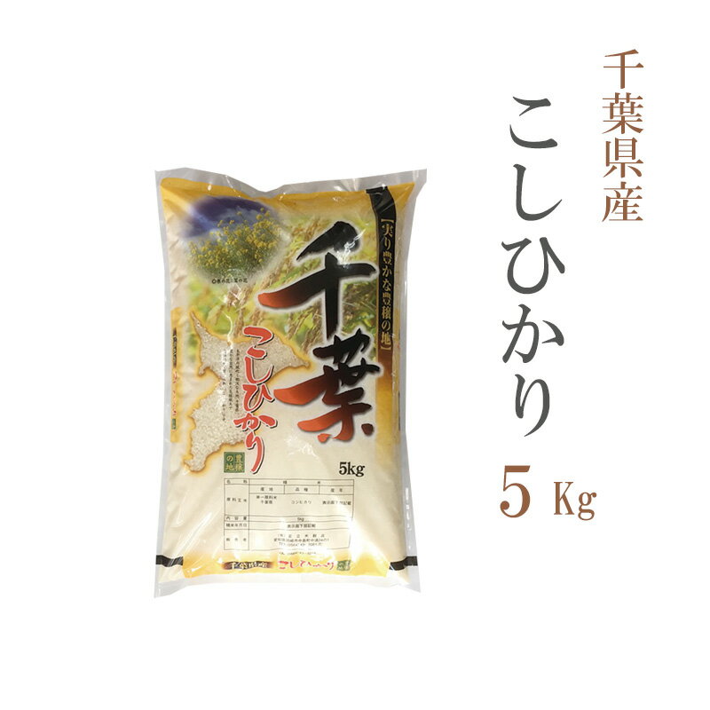 新米 米 白米 5kg コシヒカリ 千葉県産 令和4年産 コシヒカリ お米 5キロ 安い あす楽 送料無料【沖縄、配送不可】