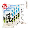 新米 米 白米 20kg 送料無料 コシヒカリ 5kg×4袋 富山県産 令和7年産 一等米 コシヒカリ 白米 お米 20キロ 安い あす楽 送料無料 沖縄..