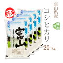 新米 無洗米 20kg 送料無料 コシヒカリ 5kg×4袋 富山県産 令和7年産 一等米 コシヒカリ お米 20キロ 安い あす楽 送料無料 沖縄配送不可
