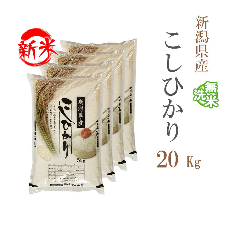 米20キロ激安|送料無料で通販で買える安くて人気のお米の通販 米20キロ激安|送料無料で通販で買える安くて人気のお米の通販