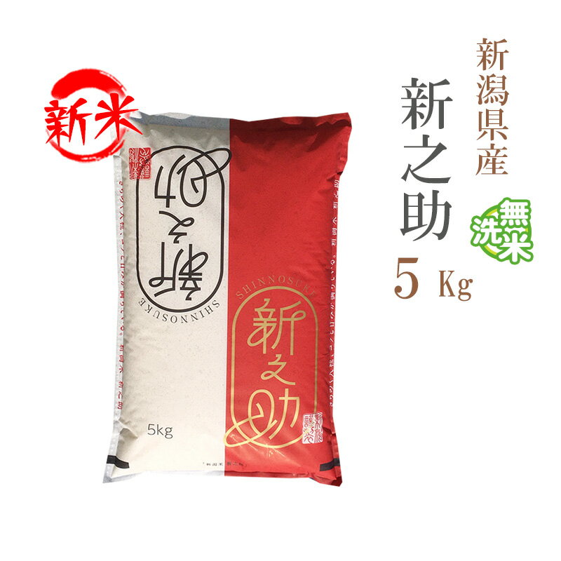 新米 無洗米 5kg 新之助 しんのすけ 新潟県産 令和7年産 一等米 新之助 しんのすけ お米 5キロ 安い あす楽 送料無料【沖縄、配送不可】