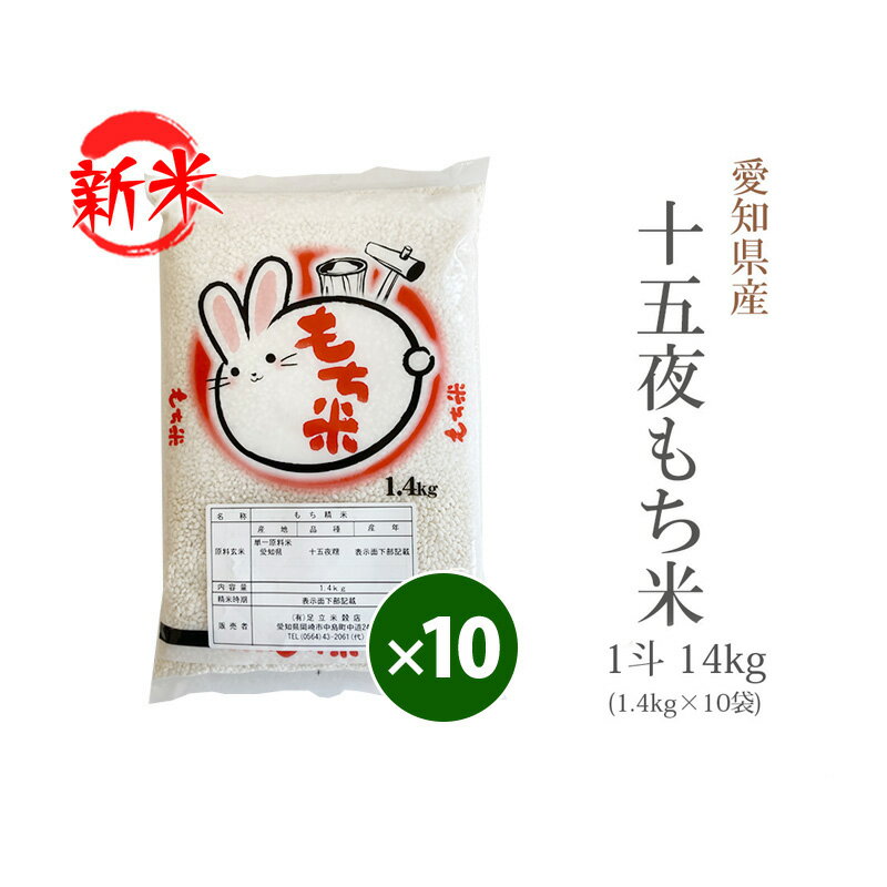 もち米 愛知県 白米 もち米 十五夜もち米 14kg (1.4kg×10袋) 1斗 令和5年産