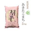 無洗米 5kg あきたこまち 秋田県産 令和6年産 一等米 あきたこまち お米 5キロ 安い あす楽 送料無料【沖縄、配送不可】