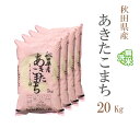 無洗米 20kg 送料無料 あきたこまち 5kg×4袋 秋田県産 令和5年産 あきたこまち お米 20キロ 安い あす楽 送料無料 沖縄配送不可