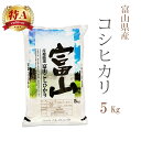 米 白米 5kg コシヒカリ 富山県産 令和6年産 特A 一等米 コシヒカリ お米 5キロ 安い あす楽 送料無料【沖縄、配送不可】