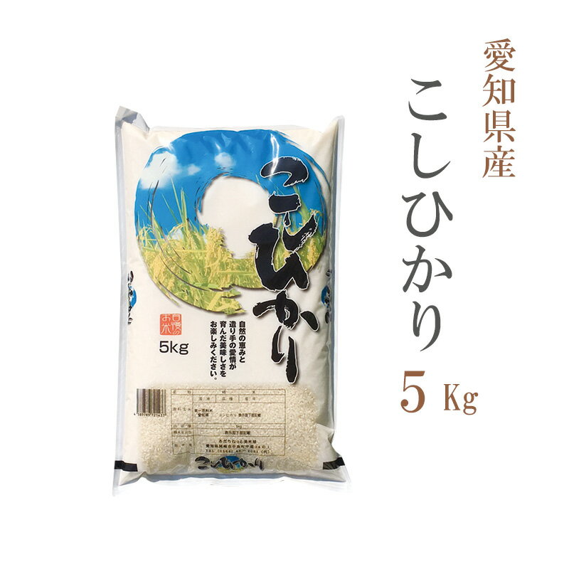 米 白米 5kg 送料無料 コシヒカリ 愛知県産 令和5年産