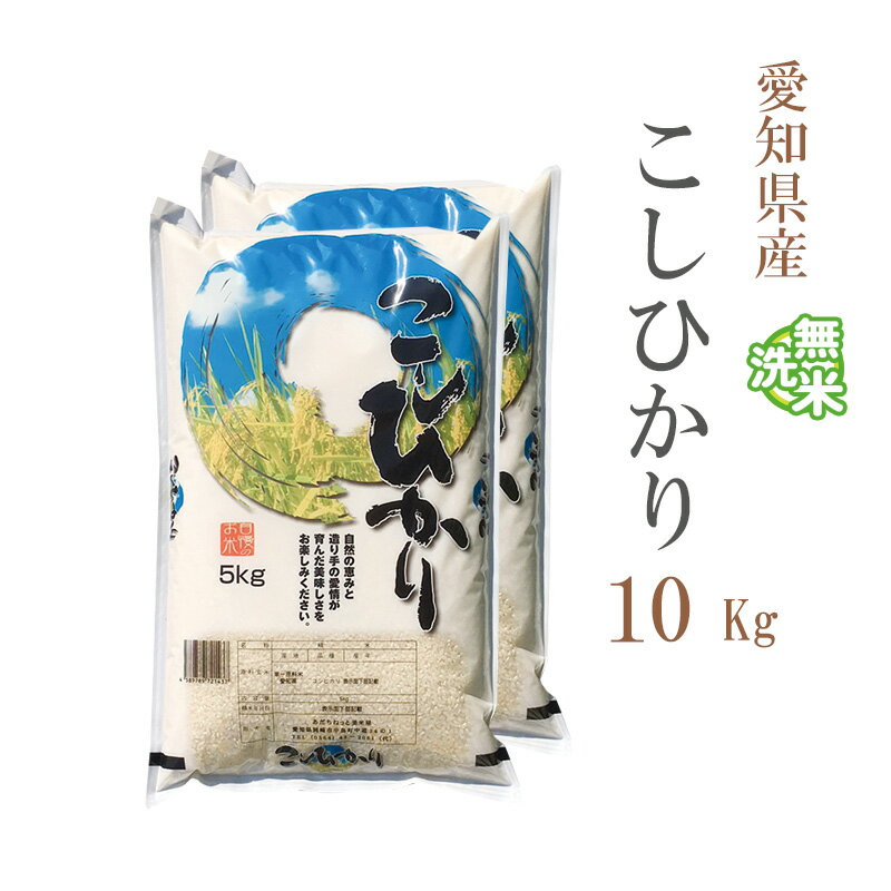 米 無洗米 10kg 送料無料 コシヒカリ 5kg×2袋 愛知県産 令和5年産 コシヒカリ お米 10キロ 安い あす楽 送料無料【沖縄、配送不可】