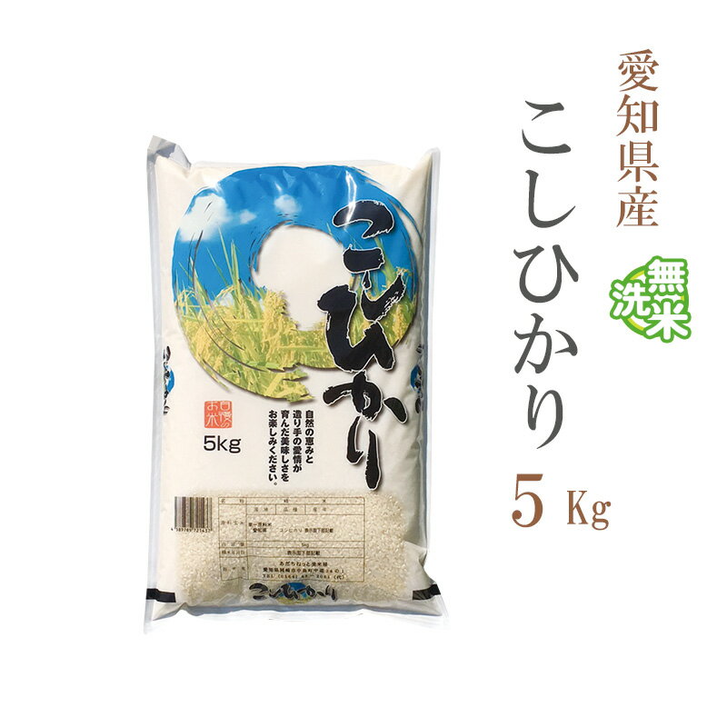 米 無洗米 5kg 送料無料 コシヒカリ 愛知県産 令和5年産 コシヒカリ お米 5キロ あす楽 送料無料 【沖縄、配送不可】