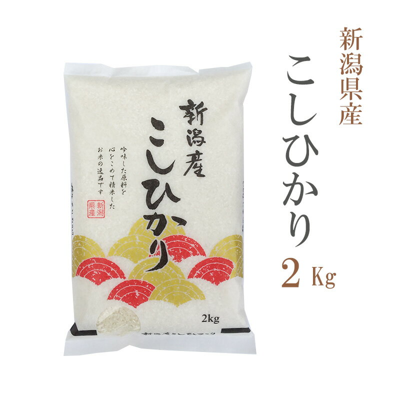 米 白米 2kg コシヒカリ