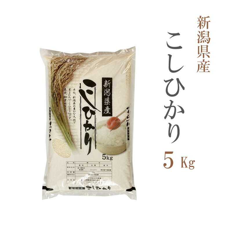 米 白米 5kg コシヒカリ