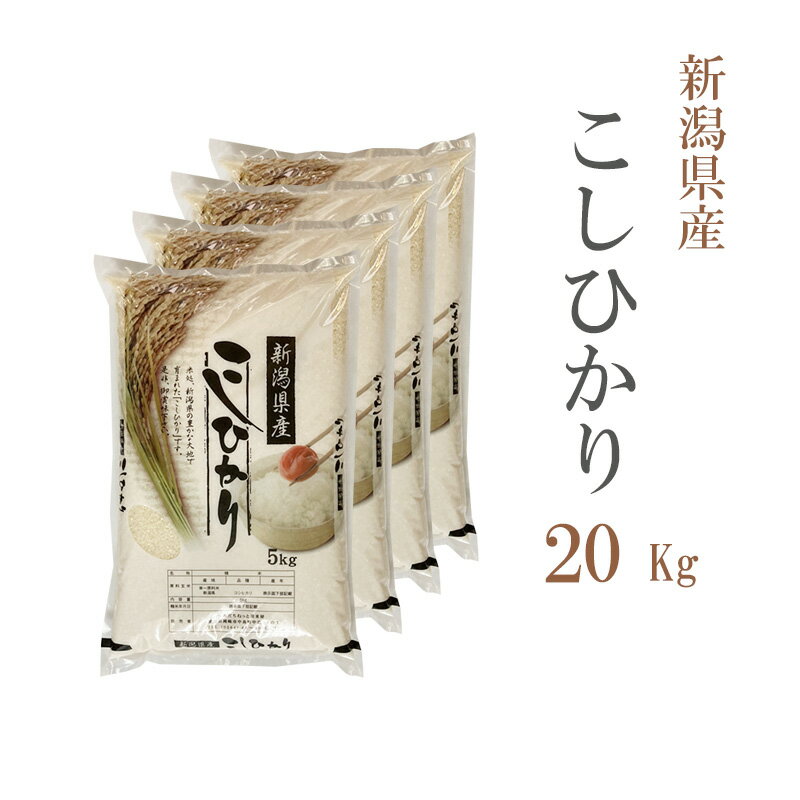 米 白米 20kg 送料無料 コシヒカリ 5kg×4袋 新潟