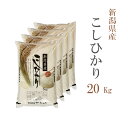 米 白米 20kg 送料無料 コシヒカリ 5kg×4袋 新潟県産 令和5年産 コシヒカリ 白米 お米 20キロ 安い あす楽 送料無料 沖縄配送不可