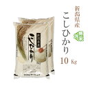 無洗米 10kg 送料無料 コシヒカリ 5kg×2袋 新潟県産 令和6年産 一等米 コシヒカリ お米 10キロ 安い あす楽 送料無料 沖縄配送不可