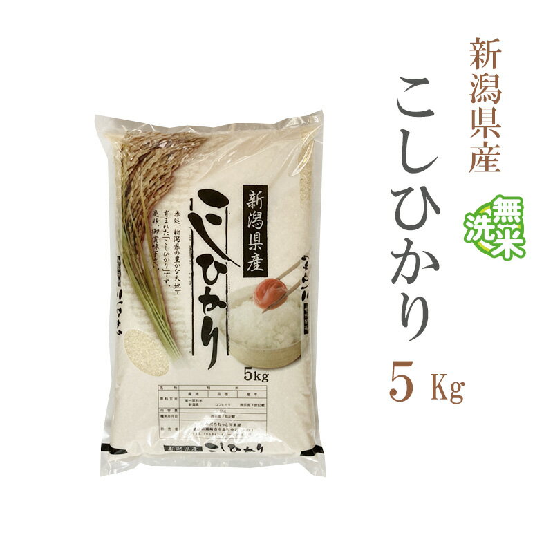 無洗米 5kg コシヒカリ 新潟県産 令和5年産 コシヒカリ お米 5キロ 安い あす楽 送料無料【沖縄、配送不可】