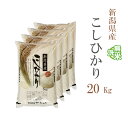 無洗米 20kg 送料無料 コシヒカリ 5kg×4袋 新潟県産 令和6年産 一等米 コシヒカリ お米 20キロ 安い あす楽 送料無料 沖縄配送不可