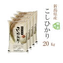 無洗米 20kg 送料無料 コシヒカリ 5kg×4袋 新潟県産 令和5年産 コシヒカリ お米 20キ ...