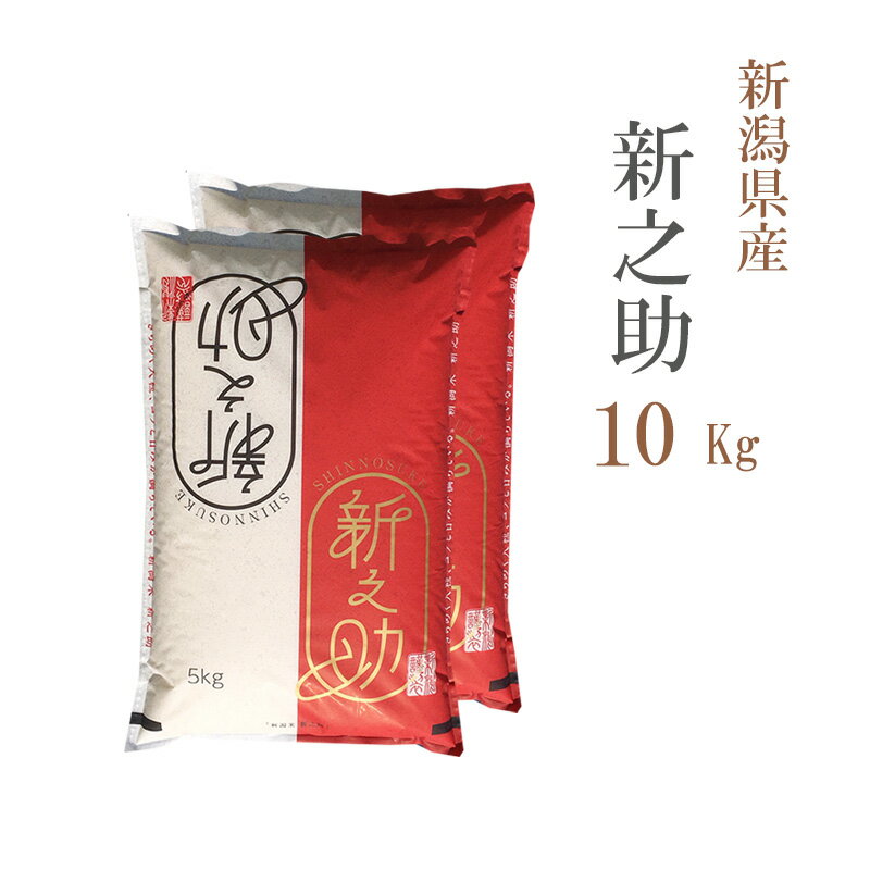 米 白米 10kg 送料無料 新之助 しんのすけ 5kg×2袋 新潟県産 令和5年産 1等米 新之...