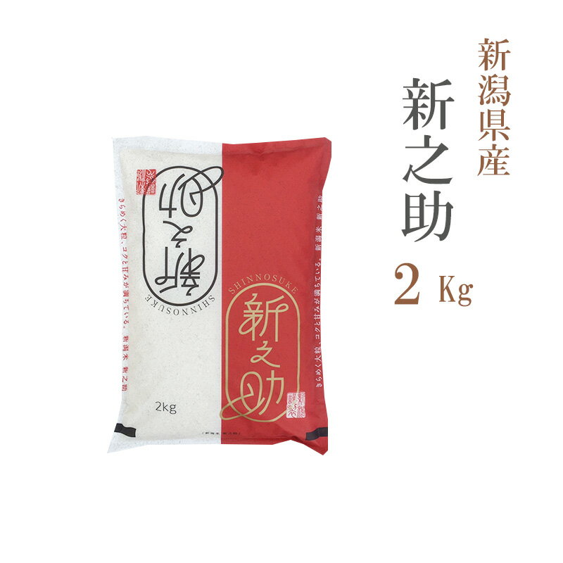 米 白米 2kg 新之助 しんのすけ 新潟県産 令和5年産 1等米 新之助 しんのすけ お米...