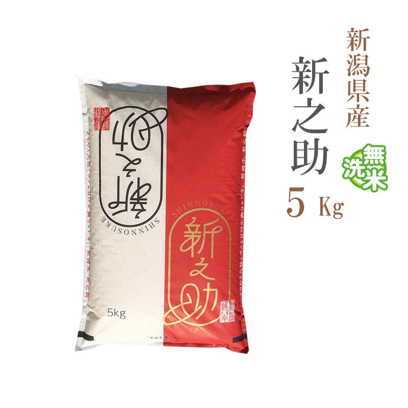 無洗米 5kg 新之助 しん