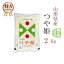 無洗米 2kg つや姫 山形県産 令和5年産 特A つや姫 お米 2キロ 安い あす楽 【沖縄、配送不可】