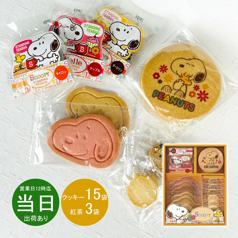 母の日 お返し 内祝い ギフト 洋菓子 スヌーピー スマイルスヌーピー スイーツセットSF-A 新築 お礼 引越し 志 仏事 送料無料 あす楽のサムネイル