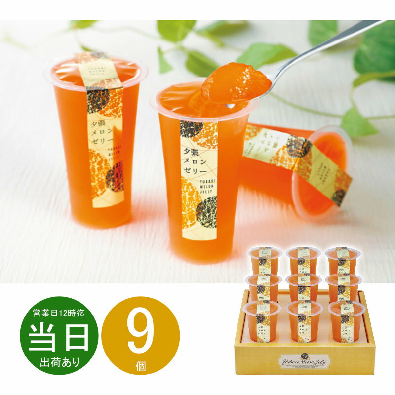 【 ポイント5倍 】 お中元 御中元 お返し 内祝い ギフト 洋菓子 北辰フーズ 夕張メロンゼリーエストKW-9B 新築 お礼 引越し 志 仏事 送料無料 あす楽 ポイント pointのサムネイル