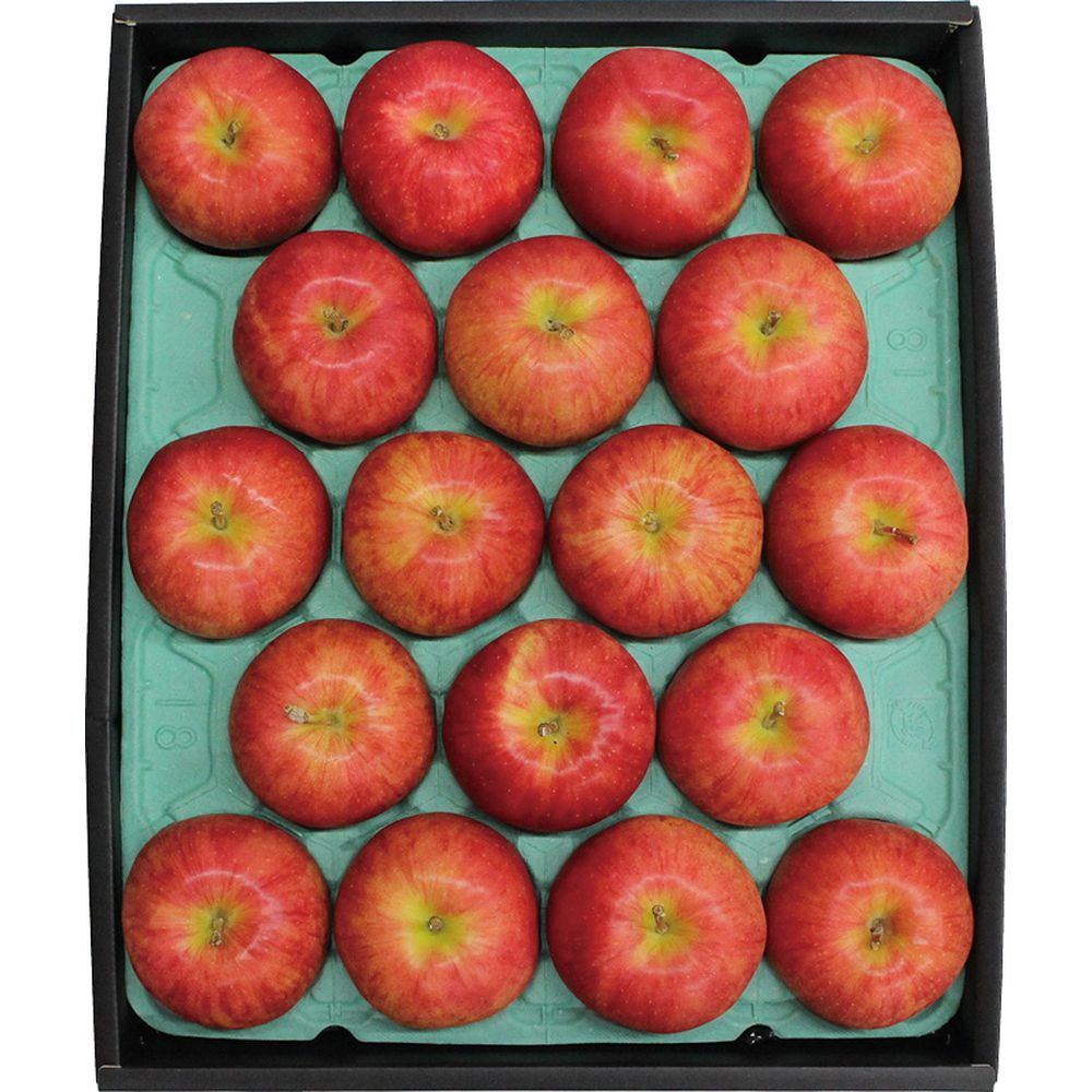 お歳暮 お返し 内祝い ギフトお届け日確認 信州サンふじりんごYO-622 産直 新築 お礼 引越し 志 仏事 送料無料