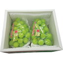 お中元 お返し 内祝い ギフト 野菜 シャインマスカット 2房・800g 産直 新築 お礼 引越し 志 仏事 送料無料(4)