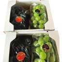 お中元 お返し 内祝い ギフト 野菜 岡山県産完熟葡萄大粒&大房シャインマスカット&ニューピオーネ産直 新築 お礼 引越し 志 仏事 送料無料